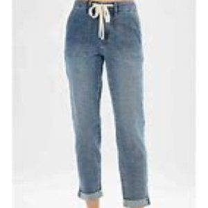 Judy Blue HIGH WAIST "Gobble Reimagined " joggers. FIT SIZE 18/20